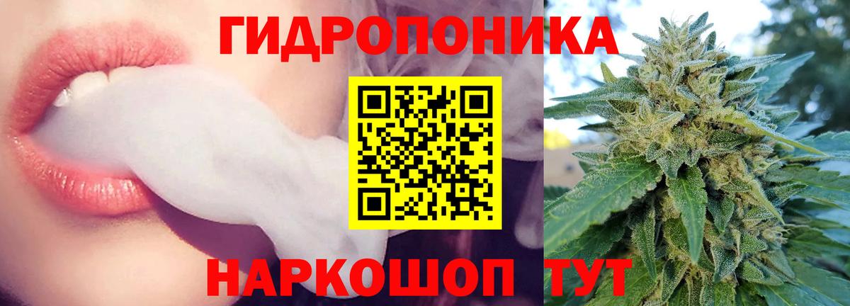 Шишки марихуана OG Kush Павлово